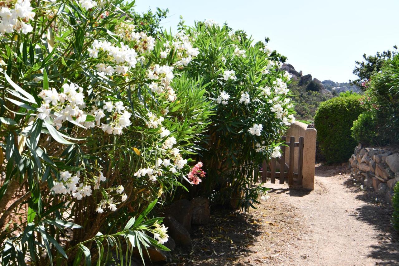 Domaine Bocca Di Feno Holiday park